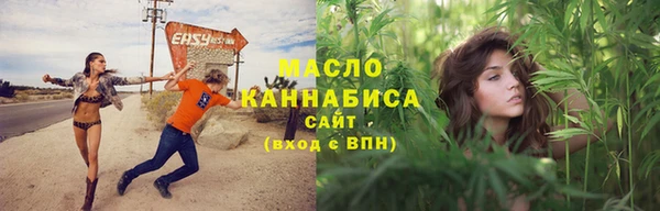 молекула духа Ельня