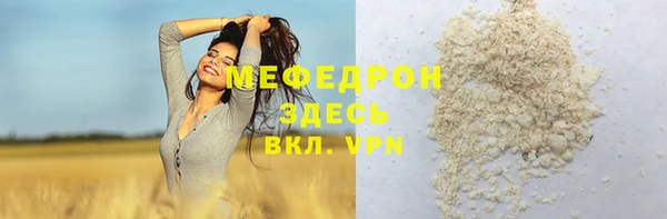 молекула духа Ельня