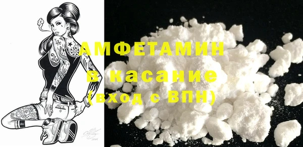 молекула духа Ельня
