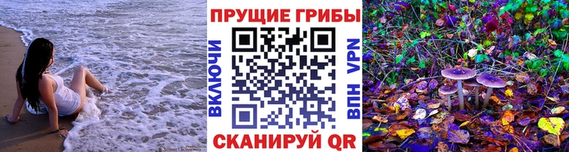 Псилоцибиновые грибы Psilocybe  Купить  Полярные Зори 